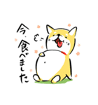 頑張る犬と頑張らない猫（個別スタンプ：12）