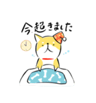 頑張る犬と頑張らない猫（個別スタンプ：19）