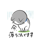 頑張る犬と頑張らない猫（個別スタンプ：23）