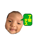 きょーめいスタンプ（個別スタンプ：1）