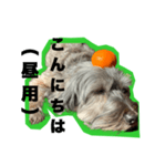 一つの表情で全てのメッセージいけますよ（個別スタンプ：14）
