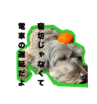 一つの表情で全てのメッセージいけますよ（個別スタンプ：18）