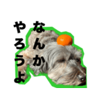 一つの表情で全てのメッセージいけますよ（個別スタンプ：29）