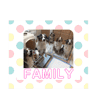 オーストラリアンシェパード〜FAMILY編〜（個別スタンプ：20）