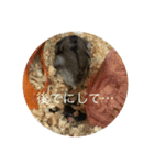 かわむら家の3ハム（個別スタンプ：3）
