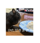 かわむら家の3ハム（個別スタンプ：4）