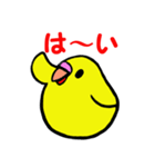ひまインコ（個別スタンプ：6）