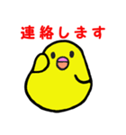 ひまインコ（個別スタンプ：9）
