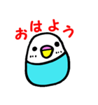 ひまインコ（個別スタンプ：12）
