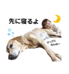 えんたんぷ4（個別スタンプ：40）