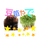 あんなおや3（個別スタンプ：7）