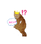 キングの日々(2)（個別スタンプ：1）