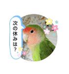 kawafamily21（個別スタンプ：1）