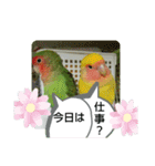 kawafamily21（個別スタンプ：2）