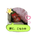 kawafamily21（個別スタンプ：7）
