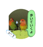 kawafamily21（個別スタンプ：8）