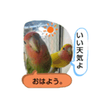 kawafamily21（個別スタンプ：9）