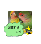 kawafamily21（個別スタンプ：10）
