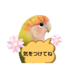 kawafamily21（個別スタンプ：11）