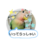 kawafamily21（個別スタンプ：12）