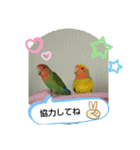 kawafamily21（個別スタンプ：13）