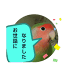 kawafamily21（個別スタンプ：14）