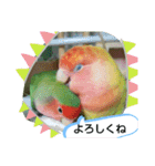 kawafamily21（個別スタンプ：15）