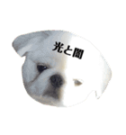 ペキニーズ もちとつくね（個別スタンプ：11）