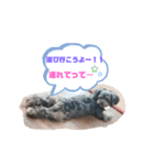 ココプリちゃん（個別スタンプ：3）