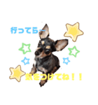 ココプリちゃん（個別スタンプ：6）