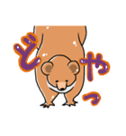 あにまるさんず（個別スタンプ：2）