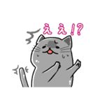 あにまるさんず（個別スタンプ：25）