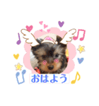 ポキポキポッキーくん（2）（個別スタンプ：2）