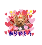 ポキポキポッキーくん（2）（個別スタンプ：6）