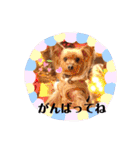 ポキポキポッキーくん（2）（個別スタンプ：9）