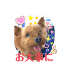 ポキポキポッキーくん（2）（個別スタンプ：15）