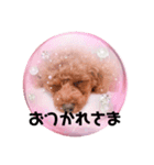 あんちゃんとはるちゃんとのんちゃん（個別スタンプ：1）