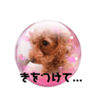 あんちゃんとはるちゃんとのんちゃん（個別スタンプ：3）