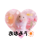 あんちゃんとはるちゃんとのんちゃん（個別スタンプ：8）