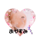 あんちゃんとはるちゃんとのんちゃん（個別スタンプ：9）