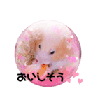 あんちゃんとはるちゃんとのんちゃん（個別スタンプ：12）