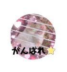 あんちゃんとはるちゃんとのんちゃん（個別スタンプ：13）
