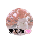 あんちゃんとはるちゃんとのんちゃん（個別スタンプ：14）