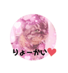 あんちゃんとはるちゃんとのんちゃん（個別スタンプ：15）