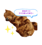 きゅうたろうスタンプ（個別スタンプ：2）