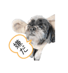 ぼくちろる✩（個別スタンプ：3）