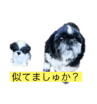ぼくちろる✩（個別スタンプ：4）