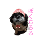 ぼくちろる✩（個別スタンプ：7）