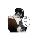 ぼくちろる✩（個別スタンプ：10）