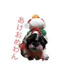 ぼくちろる✩（個別スタンプ：11）